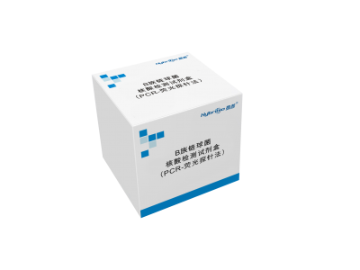 B族链球菌核酸检测试剂盒（PCR-荧光探针法）