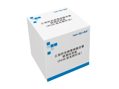 乙型肝炎病毒核酸定量检测试剂盒（PCR-荧光探针法）