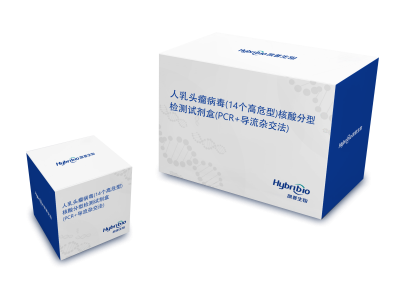 人乳头瘤病毒(14个高危型)核酸分型检测试剂盒(PCR+导流杂交法)